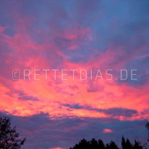 introimmage1600.jpg - Rettet Dias!